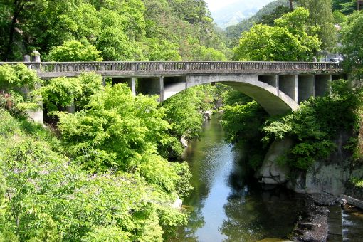 Nagatoro Bridge