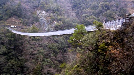 Umenoki-Todoro Suspension Bridge