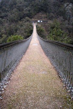 Umenoki-Todoro Suspension Bridge